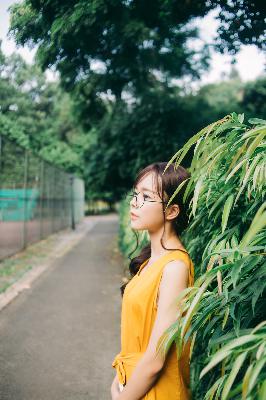 美丽的小蜜蜂1