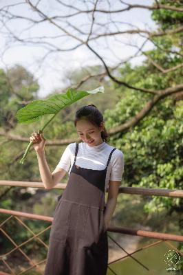 樱花动漫官网官方入门网站