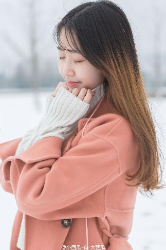 大地资源免费视频观看