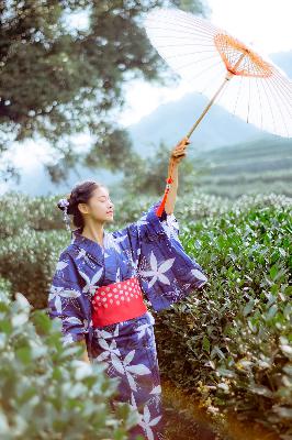 一阴吞两阳怎么做的,两峰夹小溪地湿又无泥诗